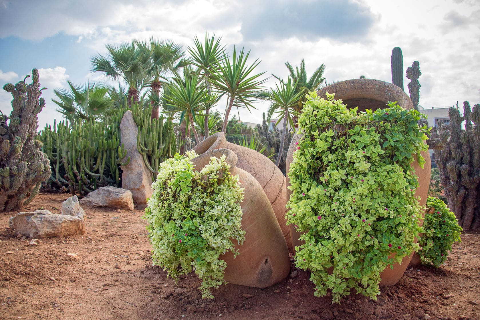 Outdoor Landscape Desert
 Desert Style Landscaping How to Desert Landscape Your Yard