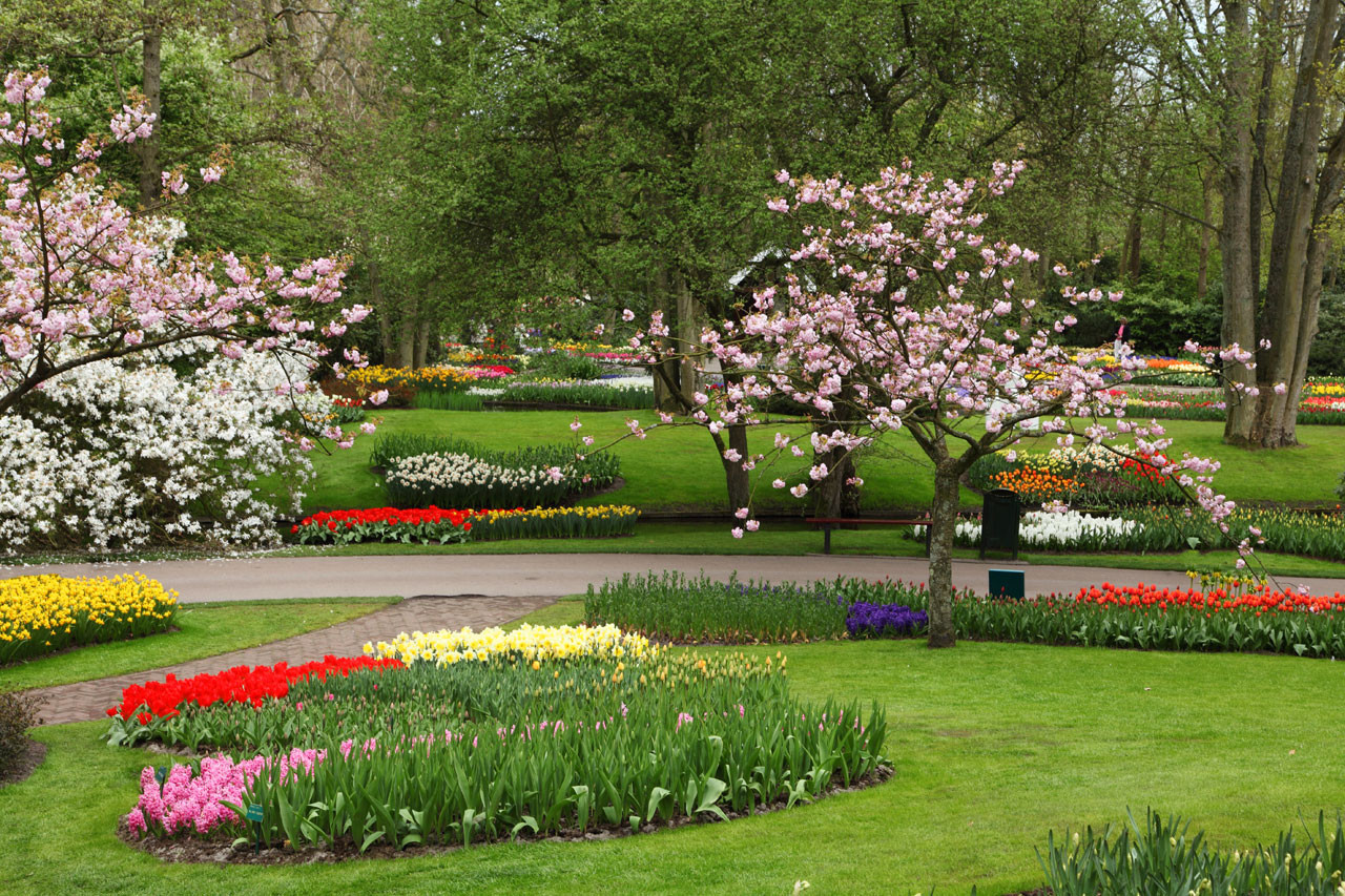 Outdoor Landscape Flowers
 HD Flowers Garden Colorful Flowers Spring Image