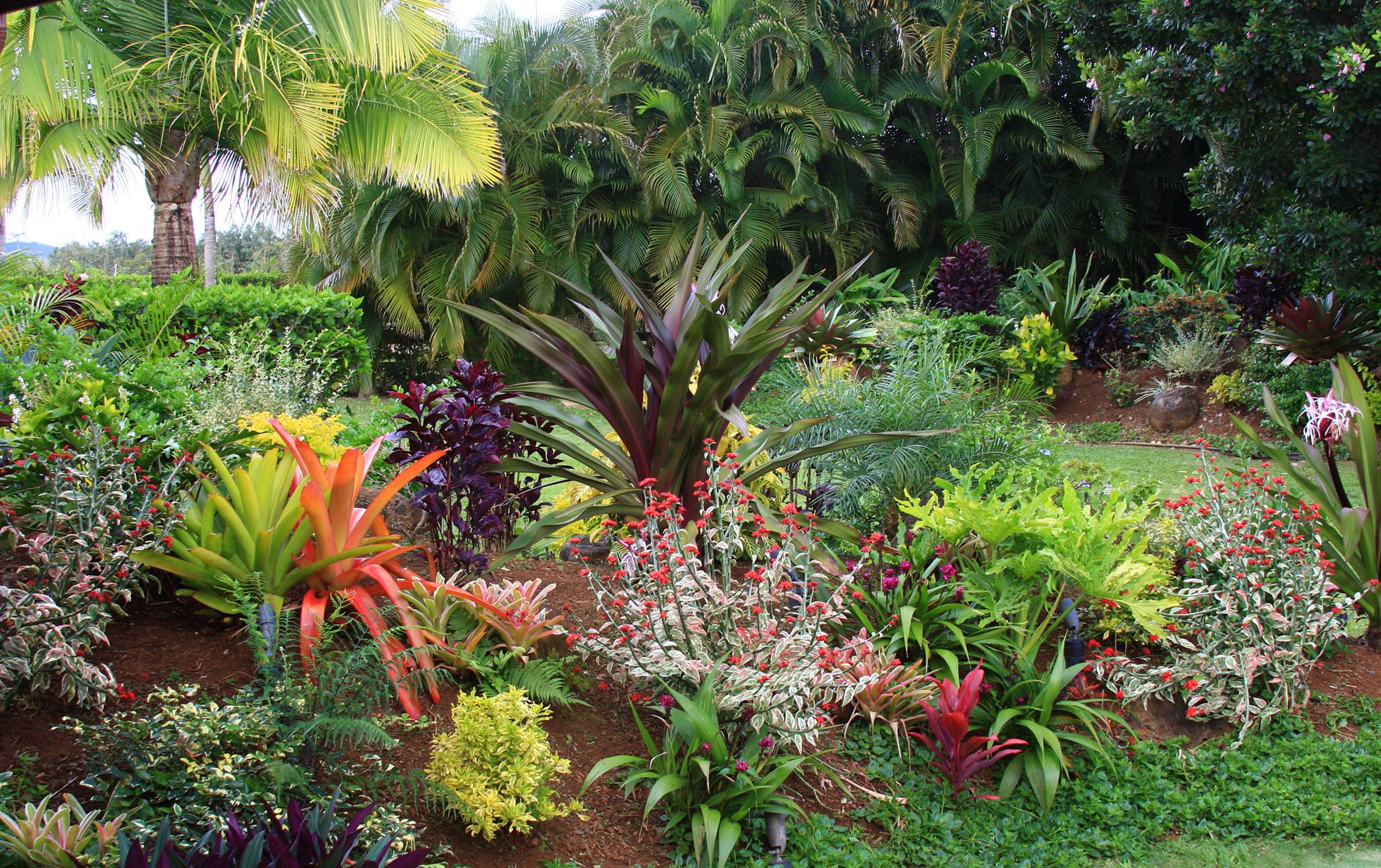 Outdoor Landscape Flowers
 Tropical Flower Garden Design Ideas