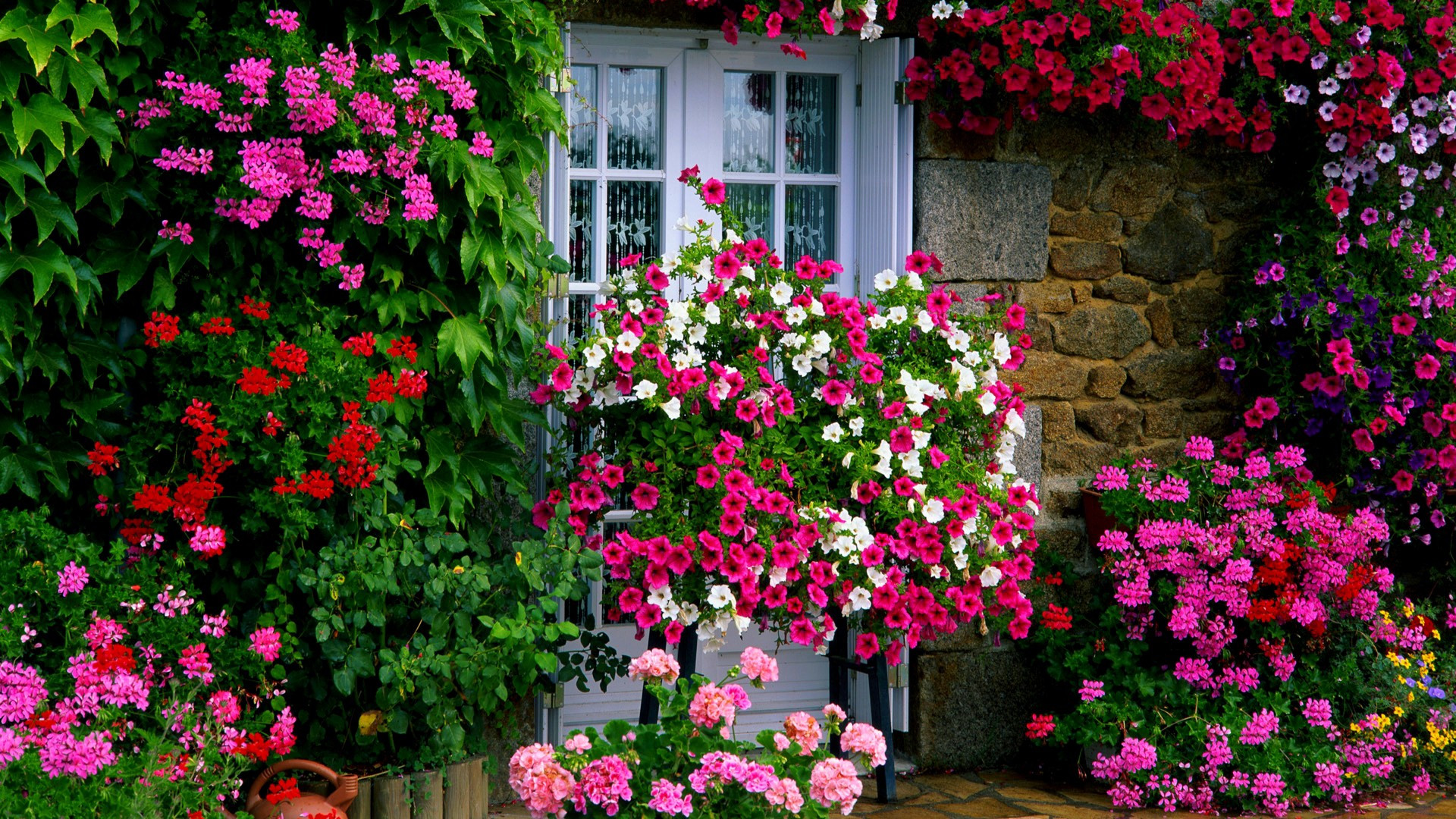 Outdoor Landscape Flowers
 Which Garden Flowers Can You Grow In Serbia 2020 Guide