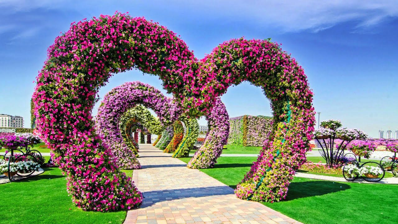 Outdoor Landscape Flowers
 Dubai Miracle Garden Showcases 45 Million Flowers