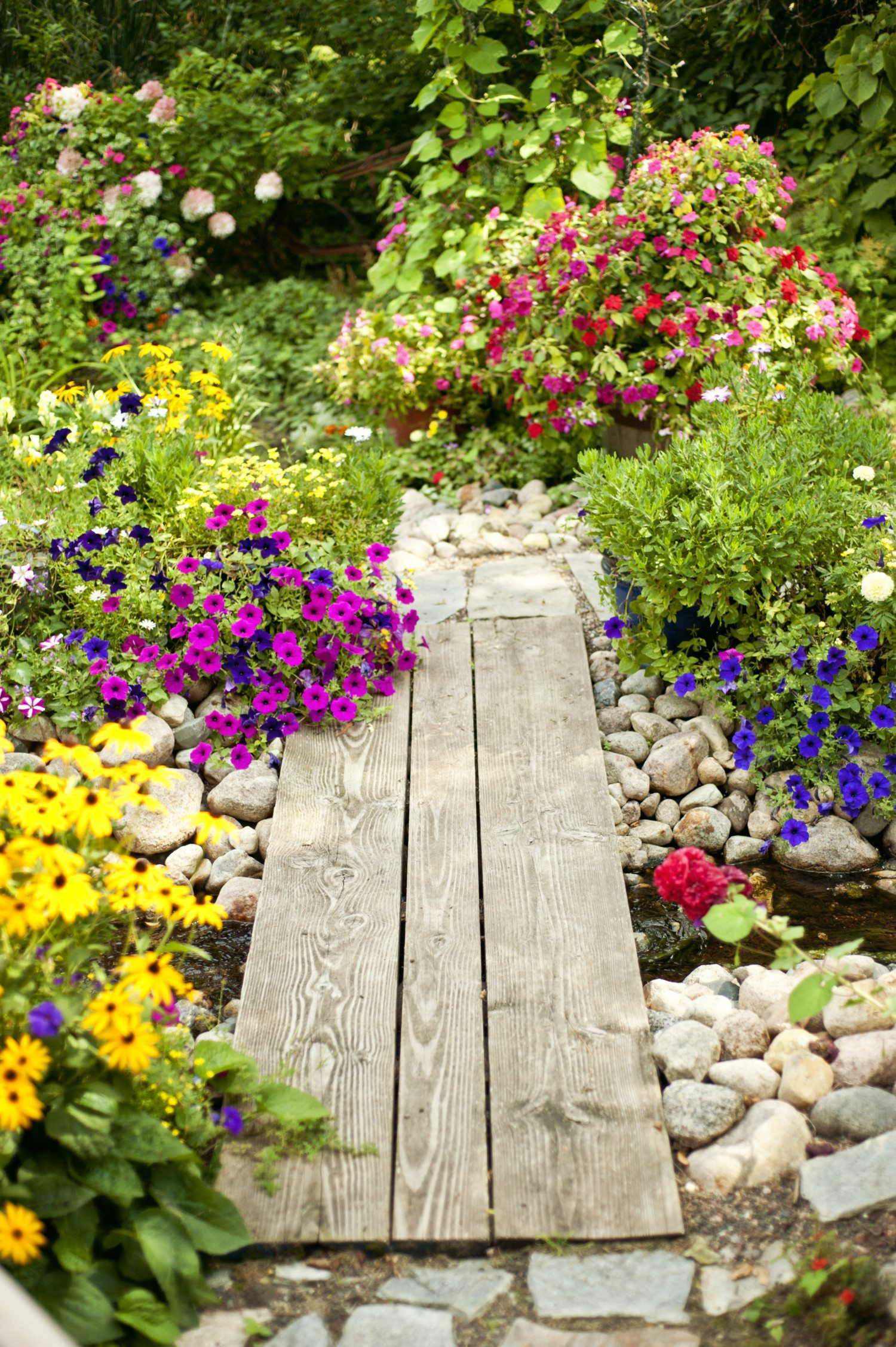 Outdoor Landscape Flowers
 10 Perennials To Plant This Fall In Your Garden Simplemost