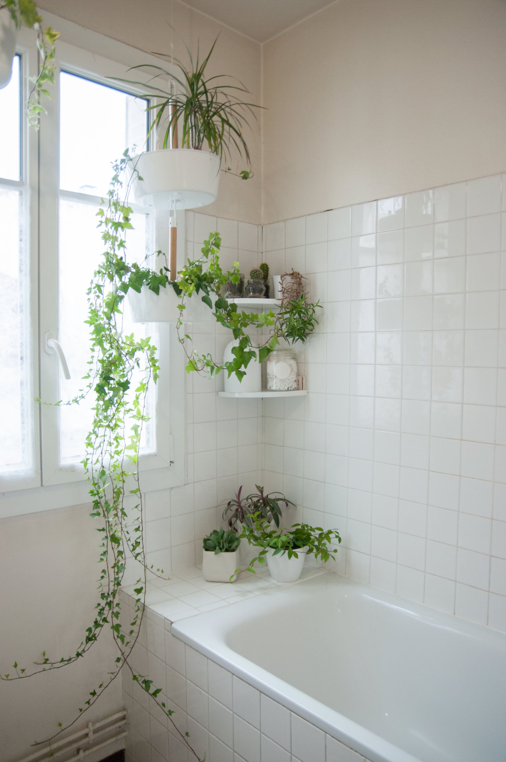 Apartment Bathroom Decorating Ideas
 50 Best Bathroom Design Ideas