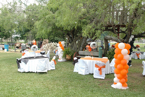 Backyard Graduation Party Decorations
 Backyard graduation party ideas