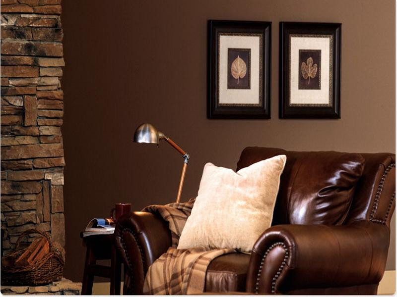 Brown Paint Living Room
 Brown Paint Colors For Living Room Appealhome