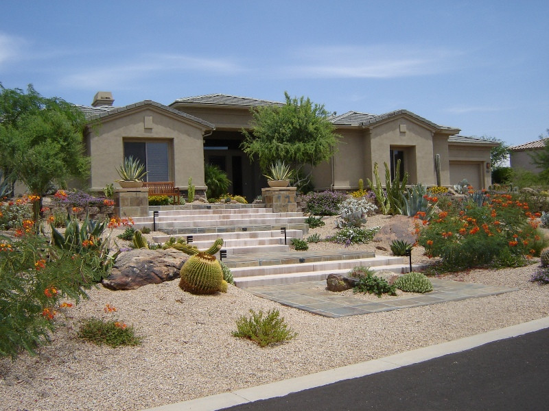 Desert Landscape Design
 High Color Desert Landscaping in Phoenix