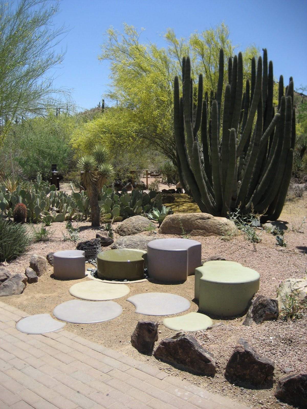 Desert Landscape Design
 Awesome Desert Landscaping Ideas with Lovely Desert Plants