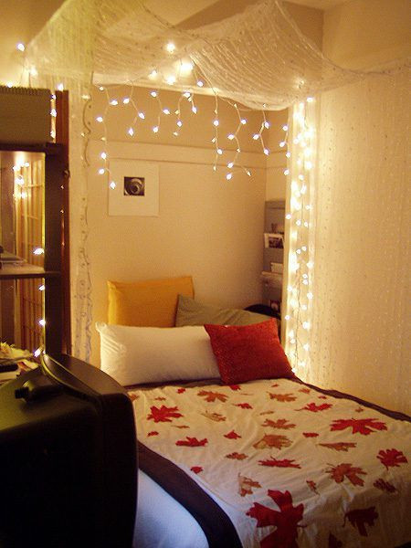 Diy Bedroom Canopy With Lights
 DIY Bed canopy