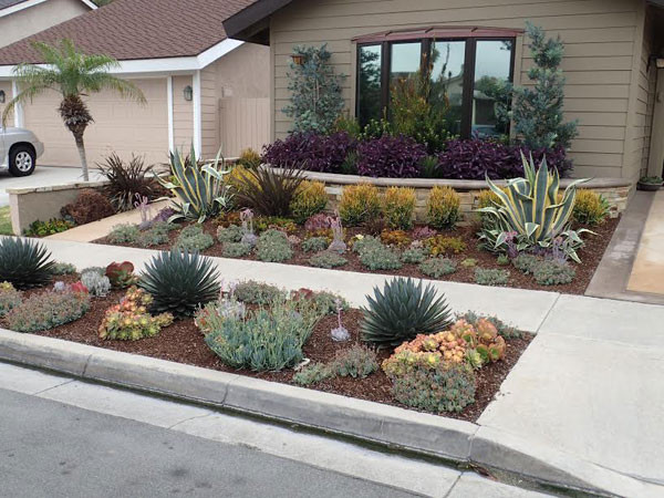 Drought Tolerant Plants Landscape Design
 Drought Tolerant Landscaping Orange County CA
