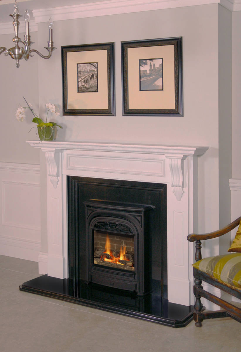 Electric Gas Fireplace
 Valor Portrait Series Gas Fireplaces
