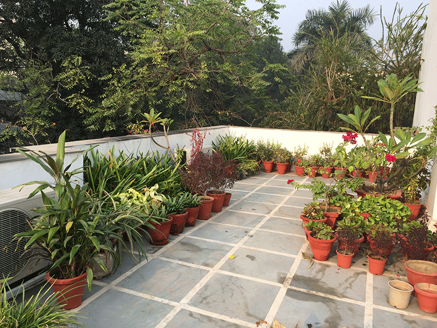 Home Terrace Landscape Dhara The Earth An Indian gardening blog My roof top