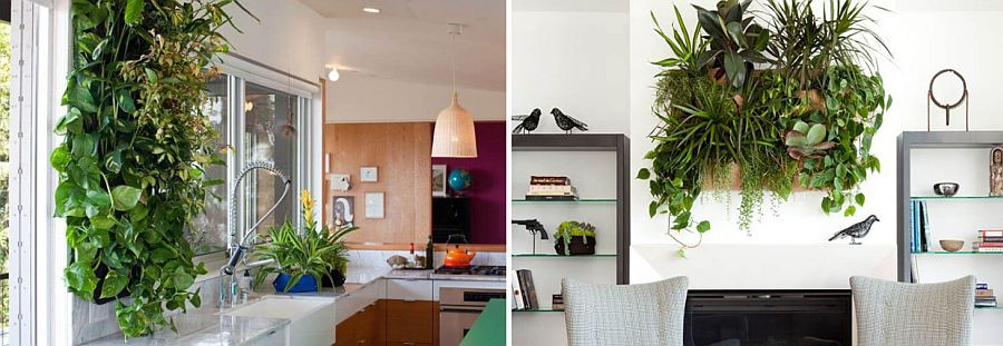 Indoor Living Wall Kits
 Vertical Goodness 10 DIY Living Walls Kits for Green Living