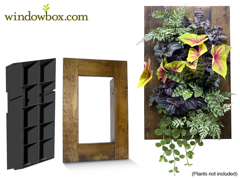 Indoor Living Wall Kits
 Indoor Living Wall Kit with Rustic Frame DIY Projects