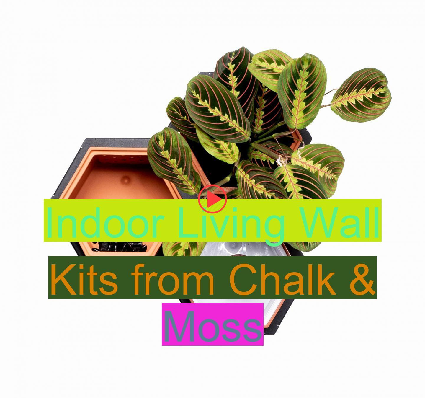 Indoor Living Wall Kits
 Indoor Living Wall Kits from Chalk & Moss – Bitcoin Value