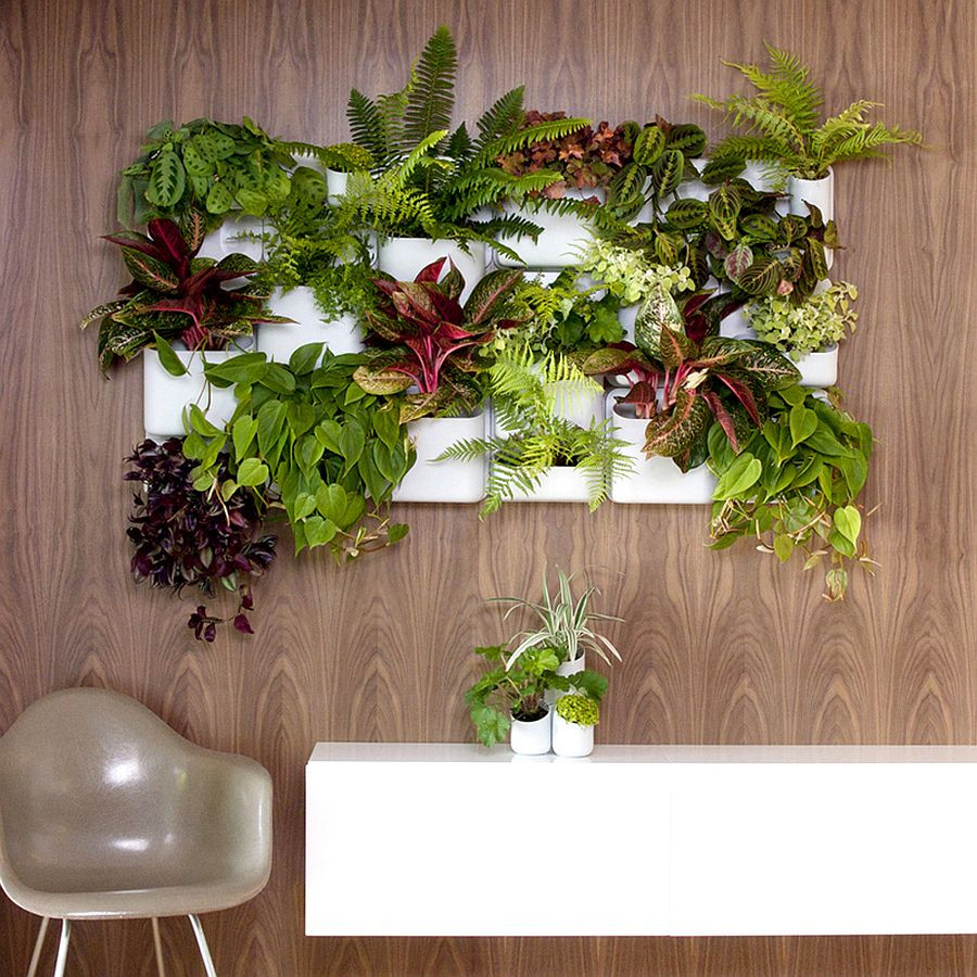 Indoor Living Wall Kits
 Vertical Goodness 10 DIY Living Walls Kits for Green Living