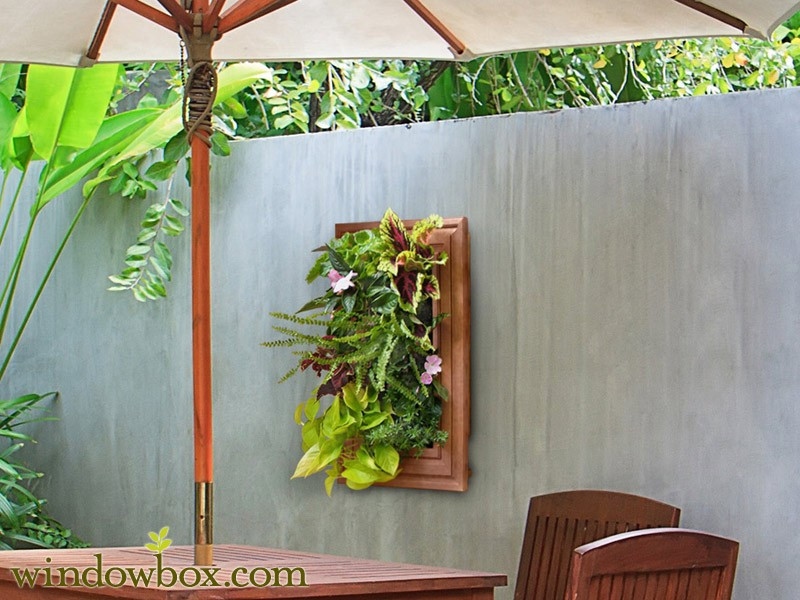 Indoor Living Wall Kits
 Indoor Living Wall Kit With Traditional Frame