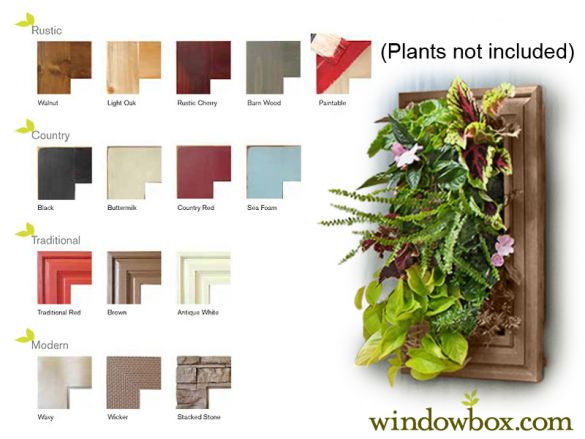 Indoor Living Wall Kits New Indoor Living Wall Kit With Traditional Frame Diy Of Indoor Living Wall Kits 