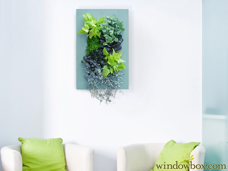 Indoor Living Wall Kits
 Indoor Living Wall Kit with Country Frame DIY Projects