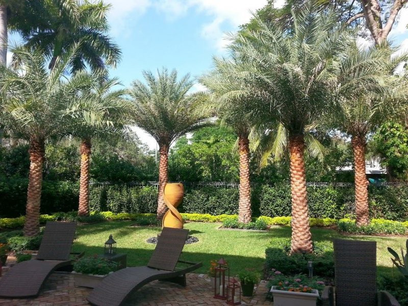 Landscape Design Miami
 Landscape beginner Landscape design miami