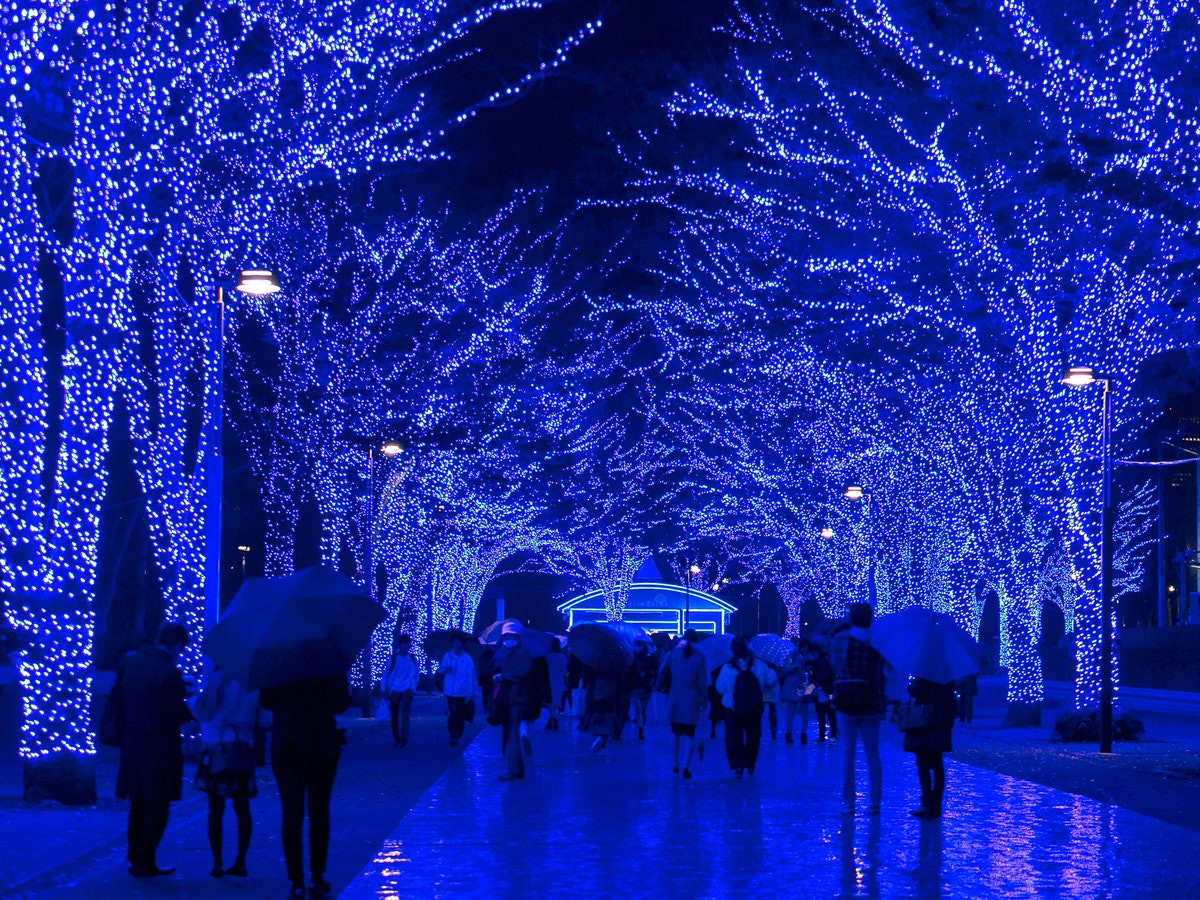 Landscape Lighting World
 Where to See the World s Best Christmas Lights Condé