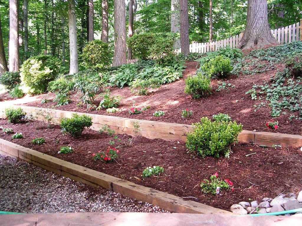 23 Inexpensive Landscape Timber Edging Ideas - Home Decoration and