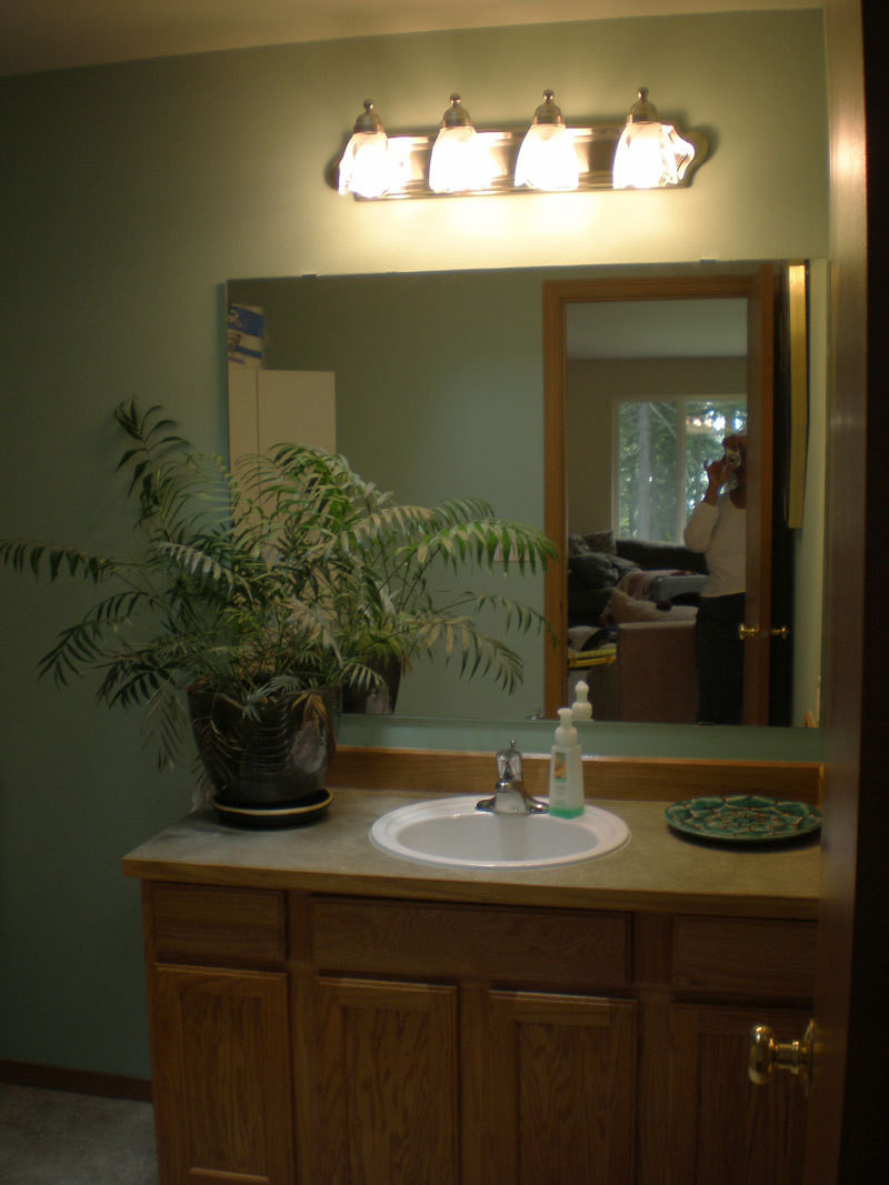 Light Bulbs For Bathroom Fixtures
 Bathroom Lighting Ideas design bookmark 3160