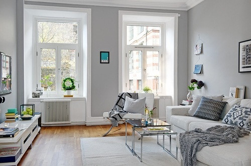 Light Gray Living Room Ideas
 10 benefits of Light grey living room walls