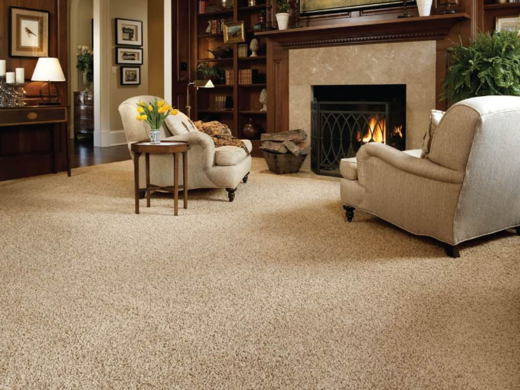 Living Room Carpet Ideas
 20 New Inspirations for Carpeted Living Rooms WITH PICTURES