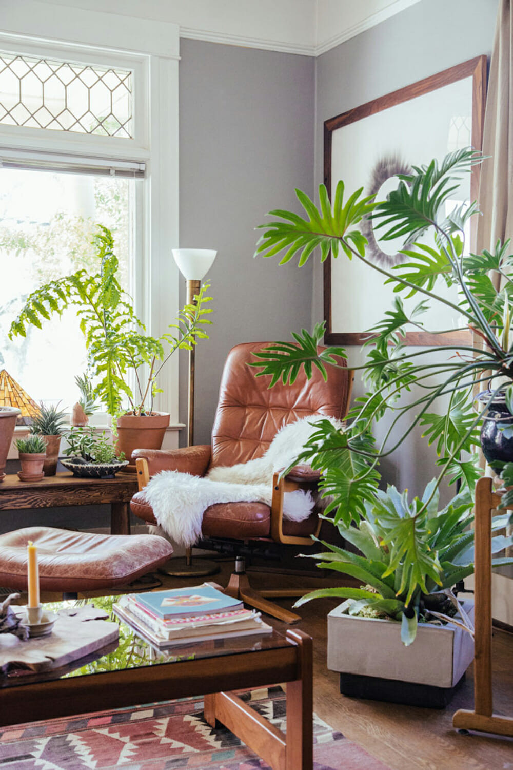 Living Room Plant Ideas
 Decorating with Plants Modernize