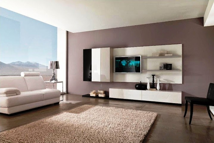 Living Room Wall Colors Idea
 Paint Color Ideas for Living Room Accent Wall