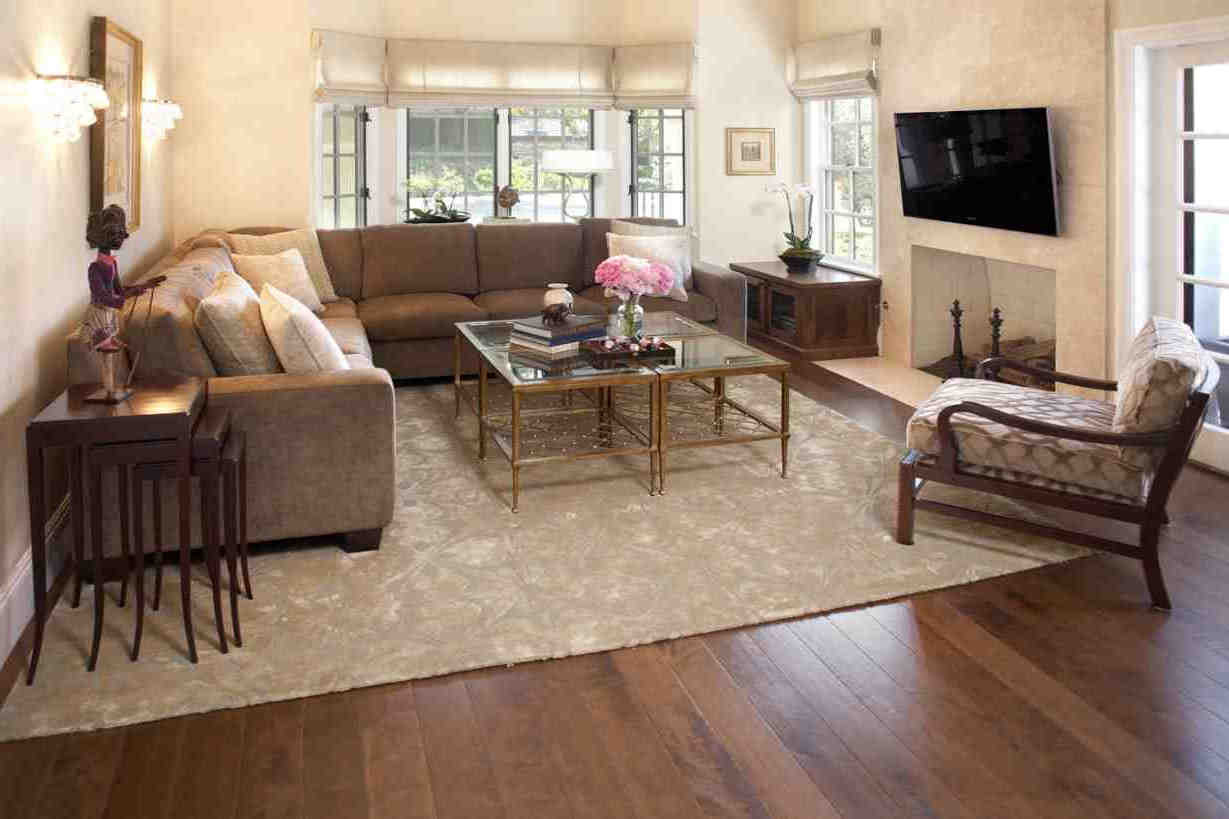 Living Room With Rug
 Rugs for Cozy Living Room Area Rugs Ideas