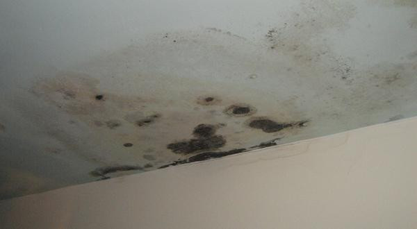 Mold On Walls In Bedroom
 Removing Mold on Ceiling and Keep it From Returning