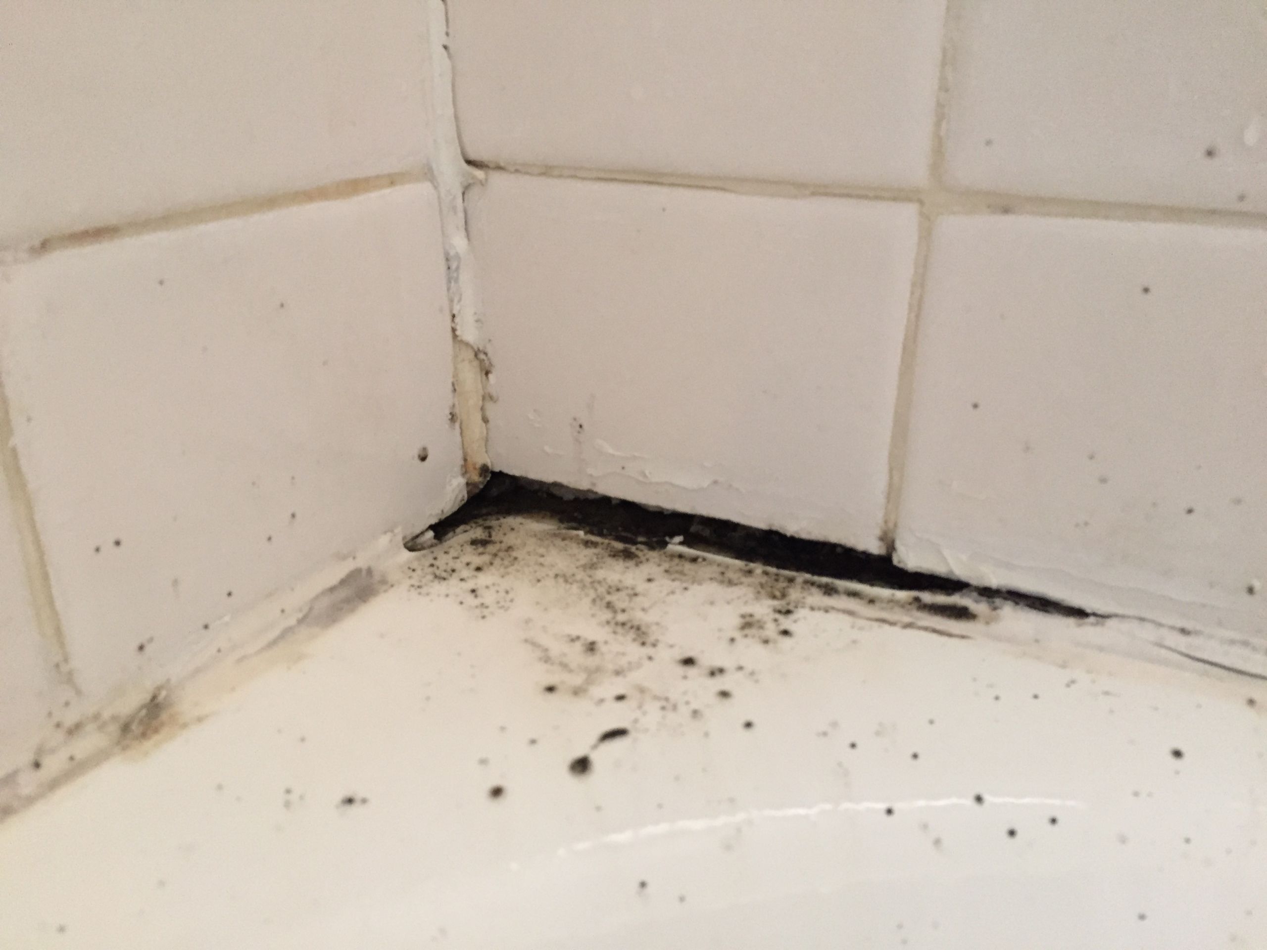 Mold On Walls In Bedroom
 The Most Effective Methods to Kill Black Mold Naturally