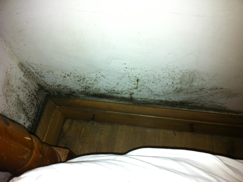 Mold On Walls In Bedroom
 Removal of black mould in bedroom and identify cause