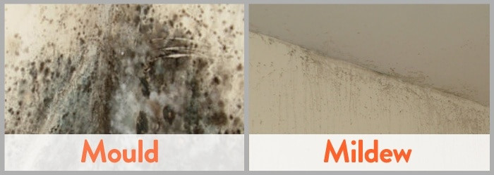 Mold On Walls In Bedroom
 How To Clean Mold f Bedroom Walls