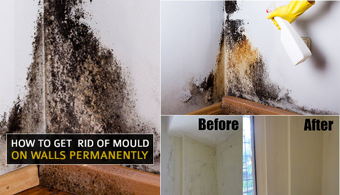 Mold On Walls In Bedroom
 how to rid of mold in bedroom