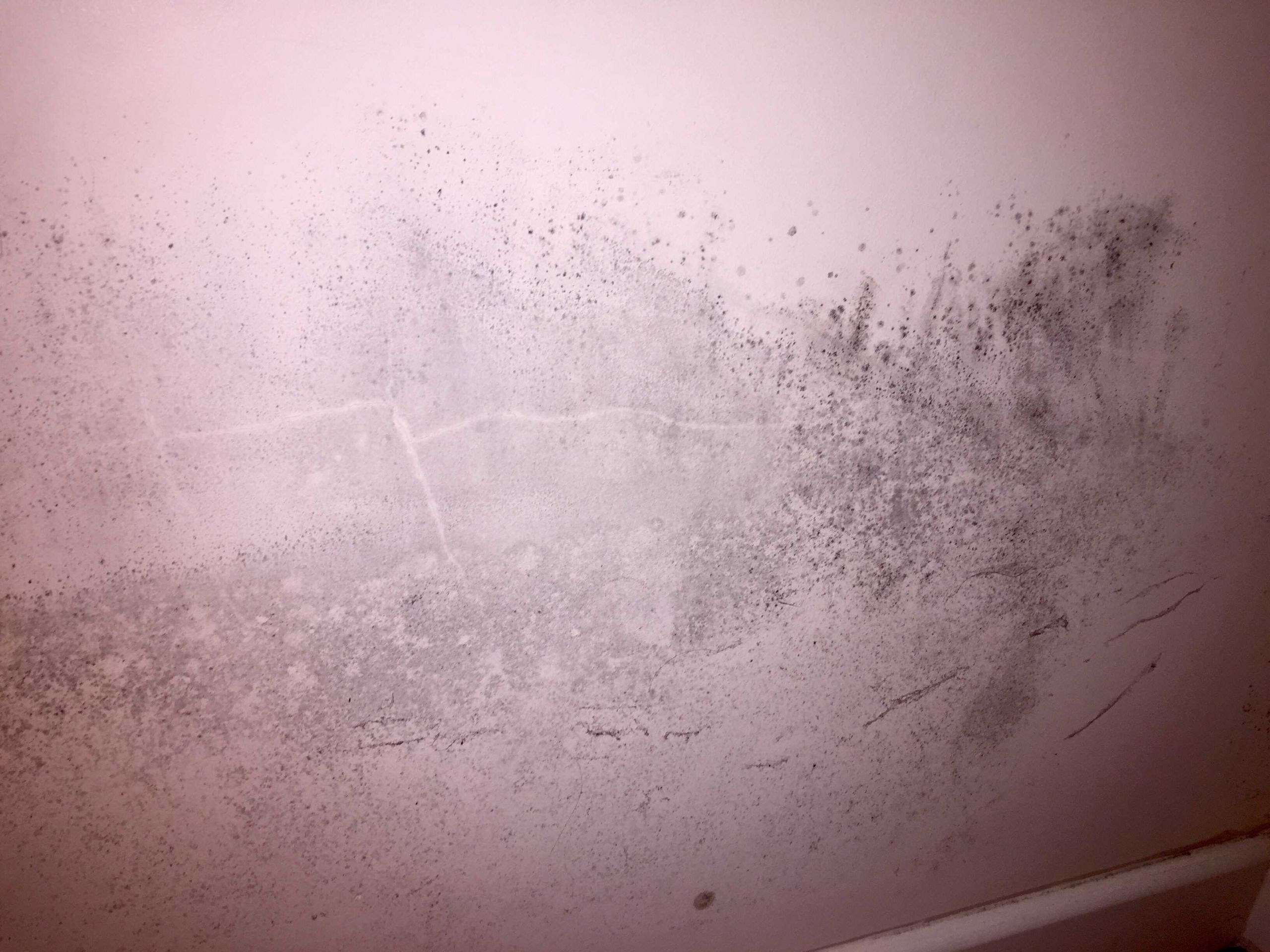Mold On Walls In Bedroom
 Mould on bedroom wall
