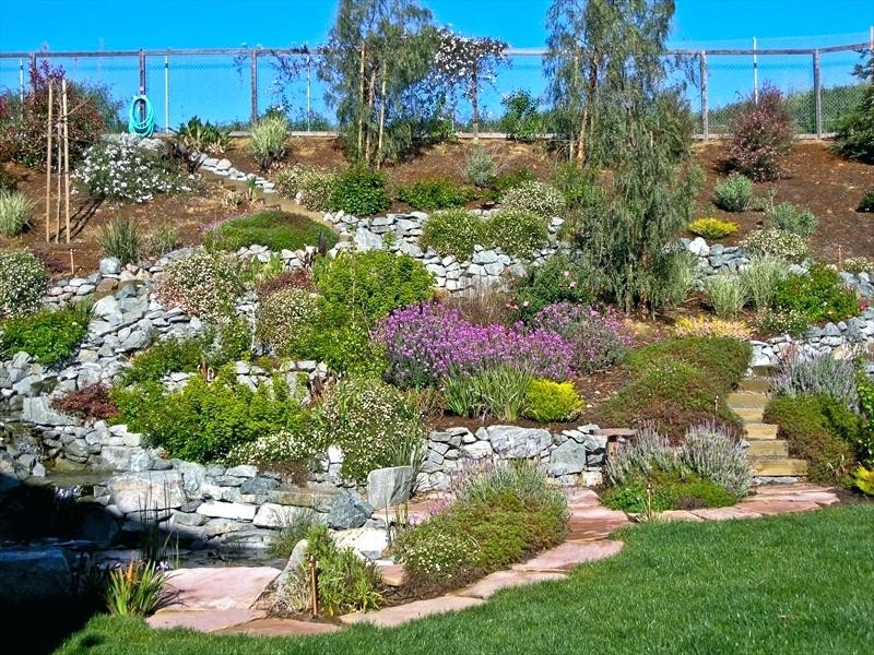 Natural Terrace Landscape
 Hillside Patio Backyard Steep Hill Ideas Landscaping