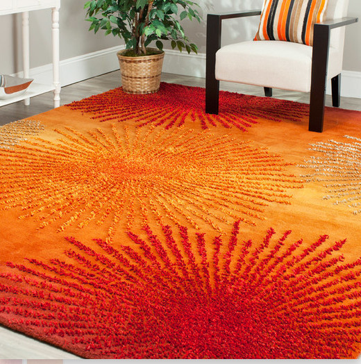 Orange Rugs For Living Room
 8 Orange Area Rugs For Your Living Room Cute Furniture