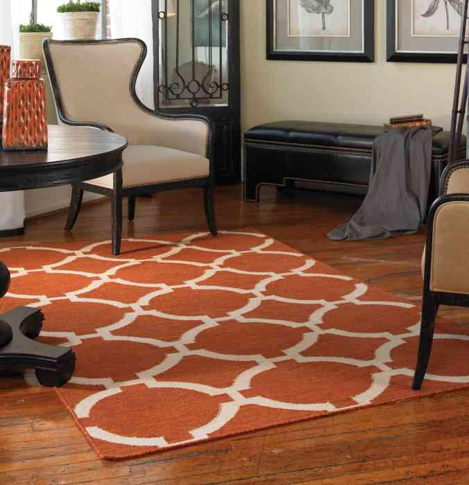 Orange Rugs For Living Room
 Burnt Orange Area Rug Decor IdeasDecor Ideas