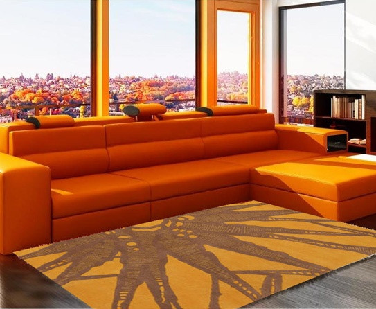 Orange Rugs For Living Room
 Attractive Living Room Rugs