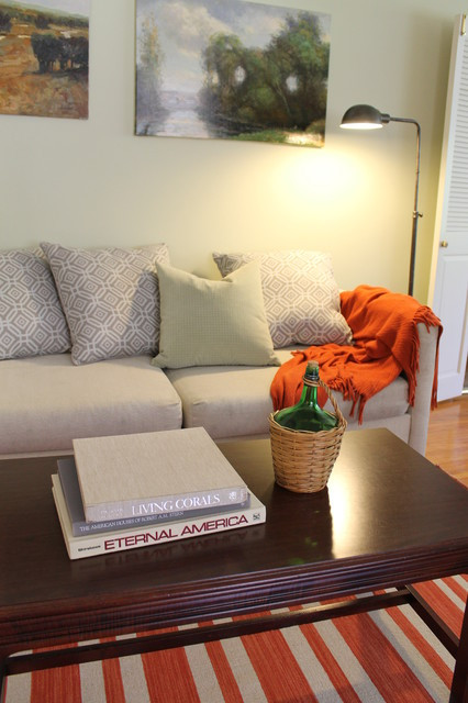 Orange Rugs For Living Room
 Orange Striped Dhurrie Rug Traditional Living Room