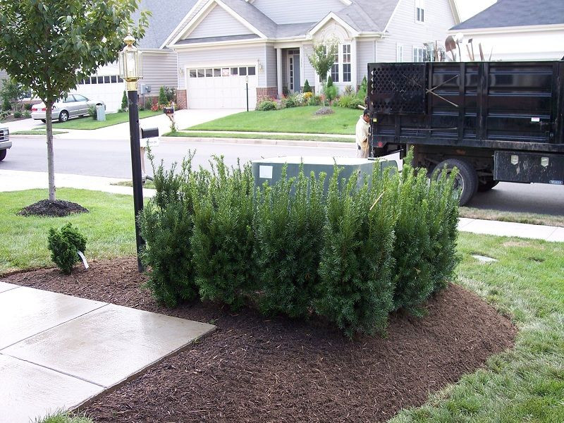 Outdoor Electrical Box Covers Landscaping
 Landscaping Solution Projects & in Virginia