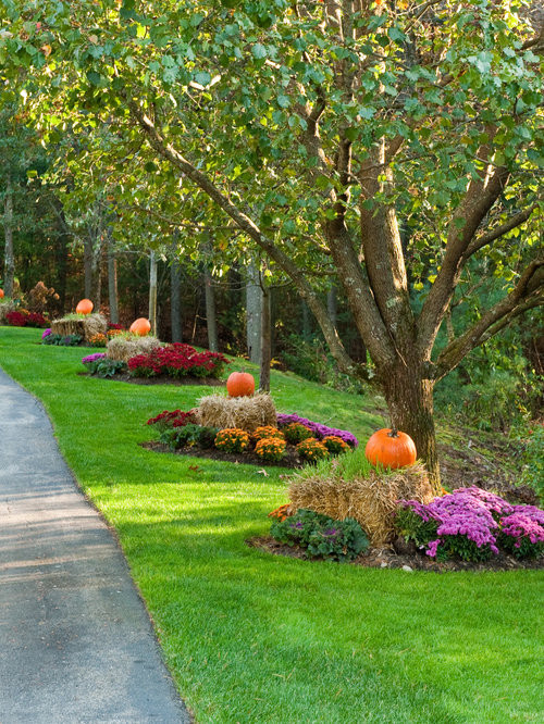 Outdoor Landscape Driveway
 Driveway Landscaping Ideas Ideas Remodel and Decor