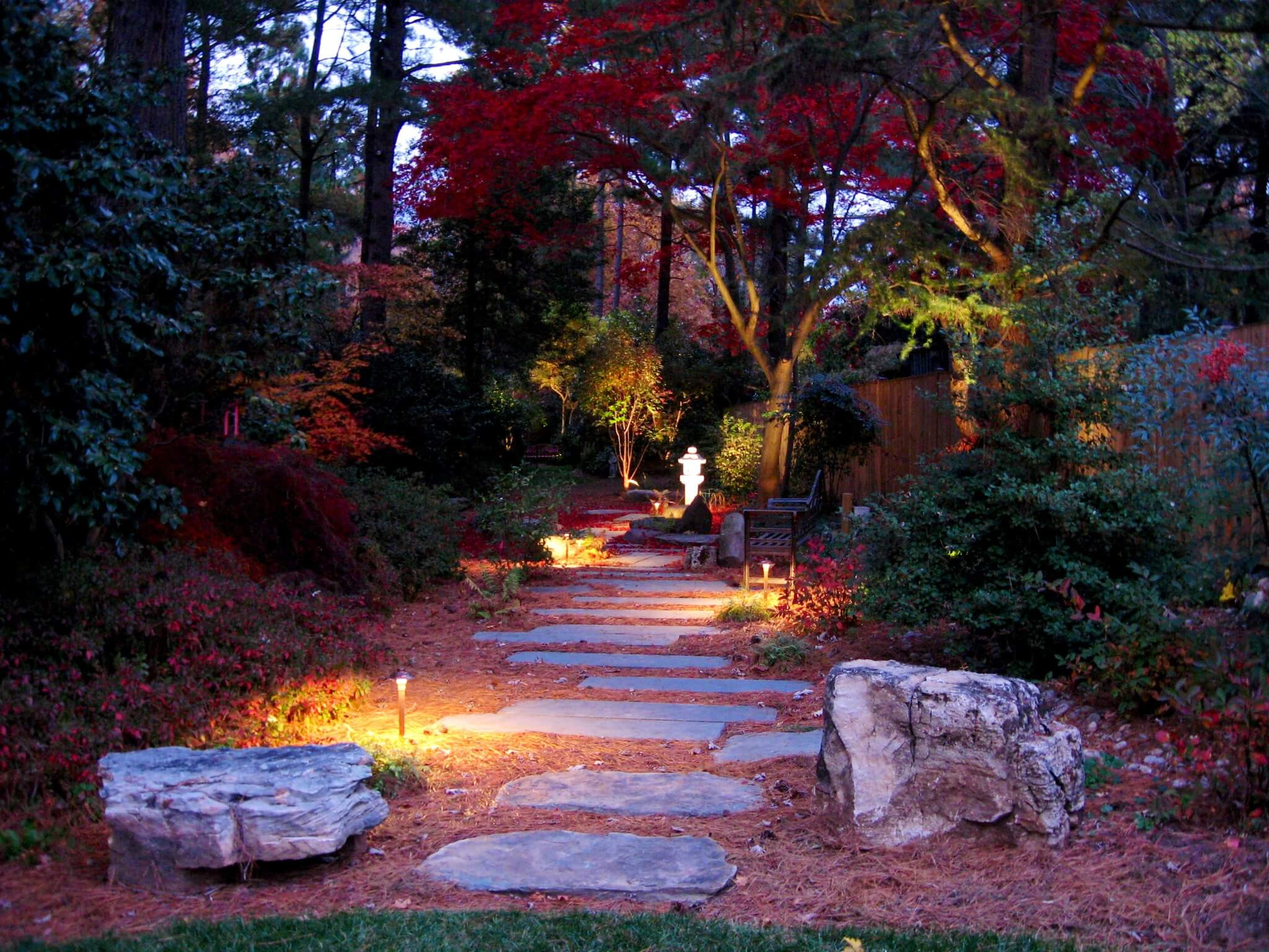 Красивый сад ночью