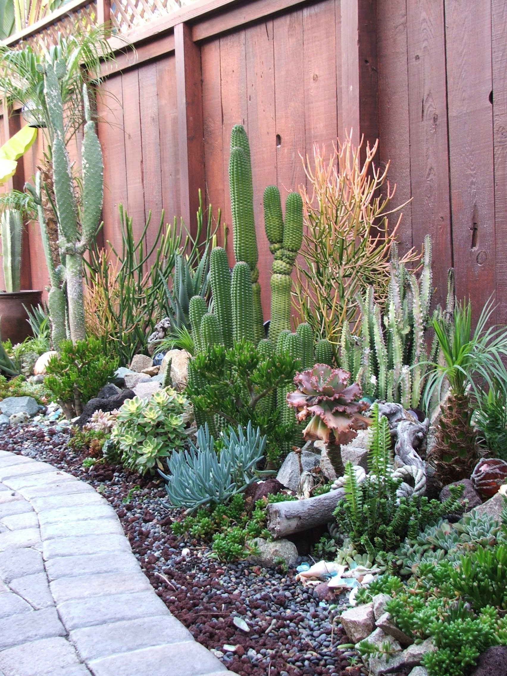 Outdoor Landscape Videos
 Outdoor Cactus Garden Ideas For The Best Looking Landscape