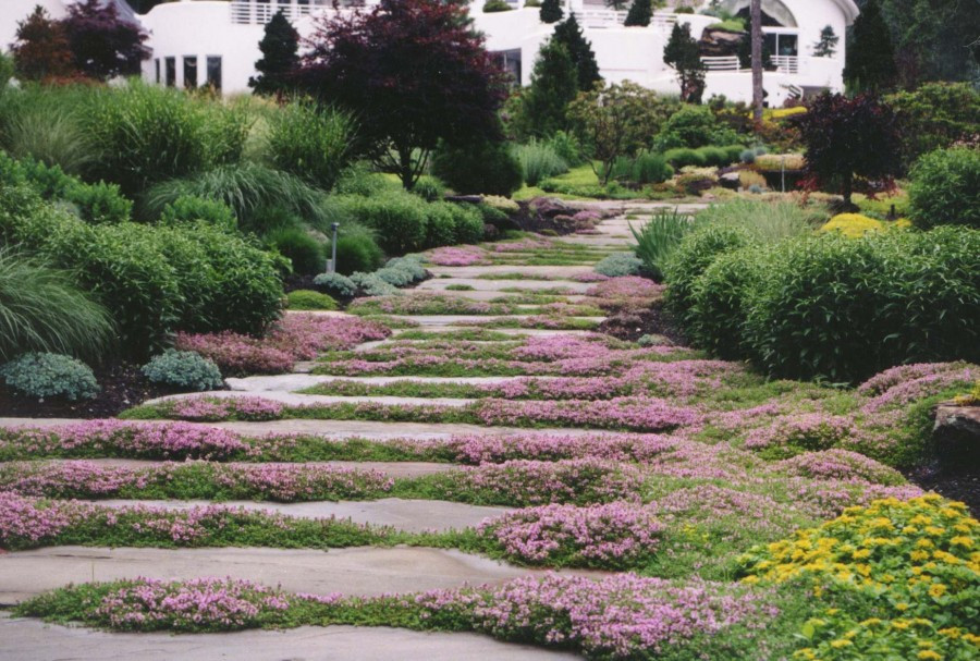 Outdoor Landscape With Stones
 37 MESMERIZING GARDEN STONE PATH IDEAS Godfather Style