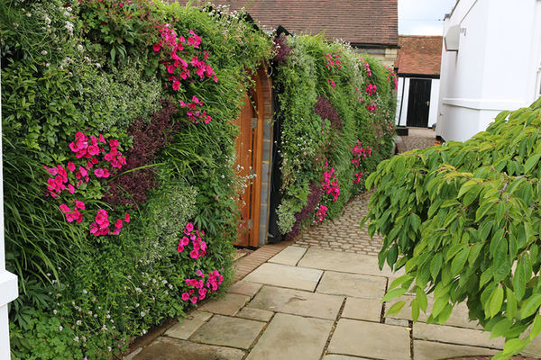 Outdoor Living Wall
 Information about installing an outdoor vertical living wall