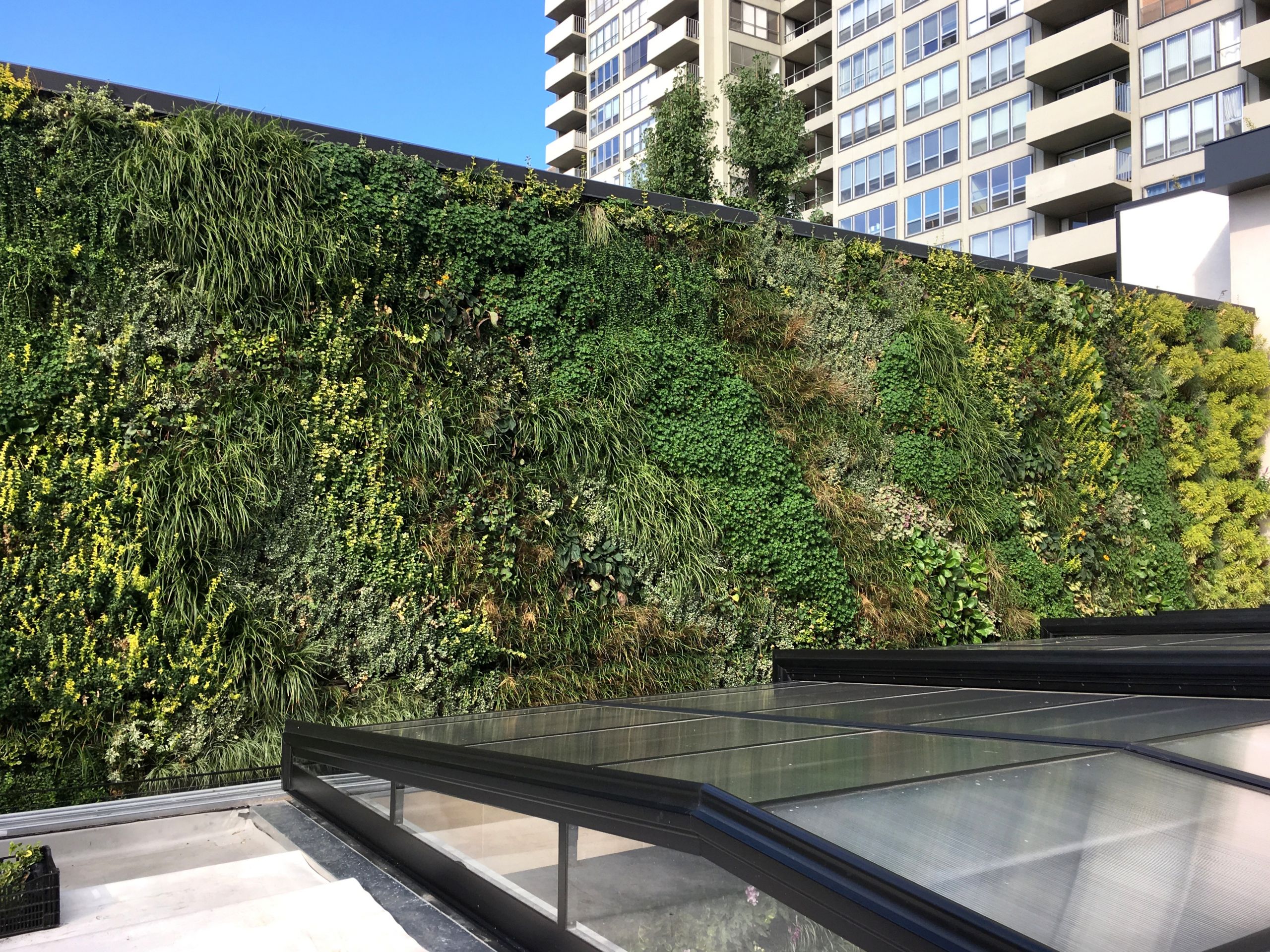 Outdoor Living Wall
 SemperGreenwall Living Walls in Toronto Sempergreen