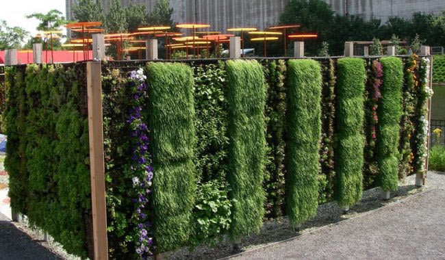 Outdoor Living Wall
 Outdoor Living Wall Planters The Green Head